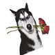 thumbnail image 2 of Pegatinas decorativas divertidas para coche, calcomanías para decoración Exterior Husky Dog fuerte adherencia para camión, barco, , , estilo c, 2 of 5