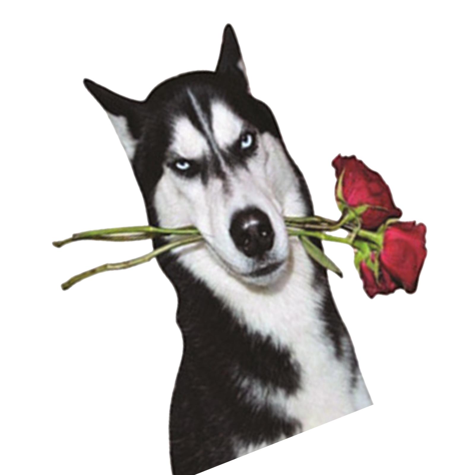 Ioensy - Pegatinas Divertidas Para Coche, Impermeables, Para Barco, Coche, Suv, Pegatina Para Arañazos, Estilo C