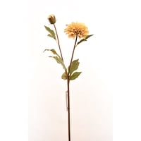 Vadell - Dalia Crema 68 Cm