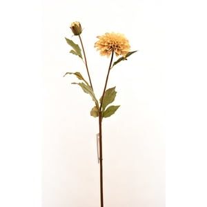 Vadell - Dalia Crema 68 Cm