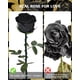 thumbnail image 3 of Flores de rosas negras preservadas YAMPP para mujer, 5 años de duración, 3 of 7