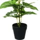 thumbnail image 2 of Planta Decorativa Artificial Philodendron 45 Cms., 2 of 4
