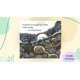 thumbnail image 2 of Libro Clarion Swirl: Espirales en la Naturaleza, 2 of 2