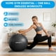 thumbnail image 2 of Pelota de Ejercicio APEXUP Anti Burst 660 lbs, 2 of 3