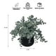 thumbnail image 3 of Planta Artificial Dichondra 20x9 cm, 3 of 3