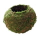 thumbnail image 3 of Maceta Creativa Con Forma De Bola De Musgo, Soporte Para Plantas Bonsái, Hogar Y Jardín, 6cm, 3 of 3
