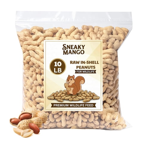 Cacahuetes Crudos Con Cáscara Sneaky Mango De 4,54 Kg De Primera Calidad