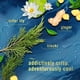 thumbnail image 3 of Aerosol ambientador Febreze Air Mist Ocean Scent 260 ml, paquete de 3, 3 of 8
