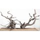 thumbnail image 1 of Decoración para acuario LANDEN Spider Wood 30‑40 cm, 4 piezas, 1 of 7