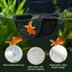 thumbnail image 2 of Hamaca para Peces Betta TYZEMKO 10 cm Blanco con Hoja Flotante, 2 of 6