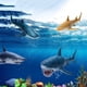 thumbnail image 5 of Figuras de acción de juguete Gemini&Genius Whale Shark Hammerhead Shark, 5 of 9