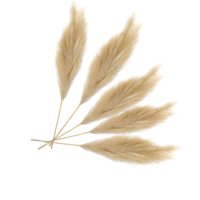 Bothyi - Faux Artificial Pampa Grass 70Cm Ramo De Decoración Para La Decoración Del Hogar Marrón Claro