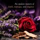 thumbnail image 4 of Perfume Frais et Frais Mystic Violet Eau de Parfum para mujer, 100 ml, 4 of 4