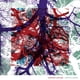 thumbnail image 1 of Álbum Widow's Weeds de Warner Music International, 1 of 1