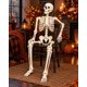 thumbnail image 5 of Adorno Esqueleto Decorativo Halloween Articulado 165 cm, 5 of 8