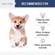 thumbnail image 5 of Polvo astringente Chew + Heal Labs para perros y gatos, 45 ml, 5 of 8