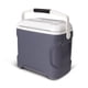 thumbnail image 3 of Refrigerador eléctrico portátil Igloo 12V 24L Caliente/Frío 36F, 3 of 5