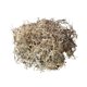 thumbnail image 3 of Spanish Mosser Lee ML0560, 4,1 L, para plantas de interior, 3 of 9