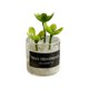 thumbnail image 1 of Mini Juguetes Para Casa De Muñecas Modelo De Paisaje Estático Modelado Mini Plantas Artificiales Estilo C, 1 of 5