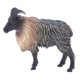 thumbnail image 5 of simulación animal salvaje figura figura juguetes figurita decoración del hogar himalayan tahr, 5 of 5
