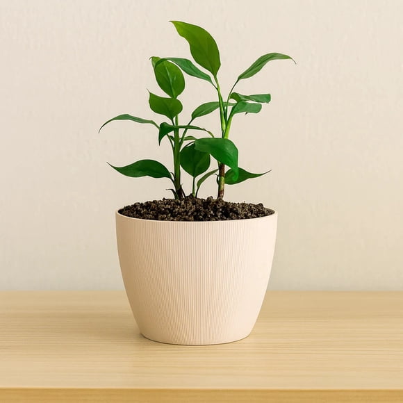 Macetero Vercelli 22 Blanco Set x3 Unidades – Bosco
