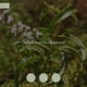 thumbnail image 3 of Difusor Ambiental Varitas Citron Verveine 150ml GOYA, 3 of 8