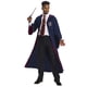 thumbnail image 1 of Disfraz Rubie's Fantastic Beasts 2 Deluxe para adultos, de Gryffindor, 1 of 2