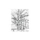 thumbnail image 3 of Ser un roble de Editorial Gustavo Gili, 3 of 6