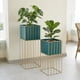 thumbnail image 3 of Set 2 Porta Macetero Pedestal Maceta Plantas Verde Dorado, 3 of 7