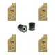 thumbnail image 1 of Kit Yamaha Bolt 950 (4l+filtro) Castrol 10w 50 Full Original, 1 of 3