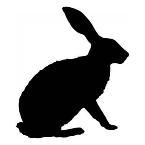 Rienda Libre Graphics - Decomural Hare Rabbit Ws-15822