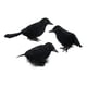 thumbnail image 5 of 3 Piezas De Cuervos De Halloween, Pájaros, Cuervos De Plumas De Simulación Negra Para Fiesta De Halloween, Estilo A, 5 of 5