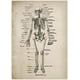 thumbnail image 3 of Lienzo de anatomía de estilo vintage francés, esqueleto médico, cuerpo humano, músculos, arte de pared, impresión de imágenes y póster para decoración de clínica médica, 40 x 50 cm x 6 sin marco, 3 of 7