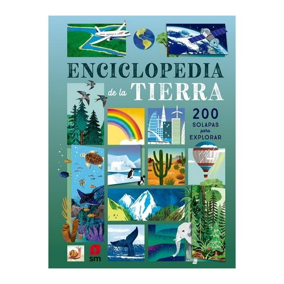 LIBRO ENCICLOPEDIA DE LA TIERRA - RUTH MARTIN