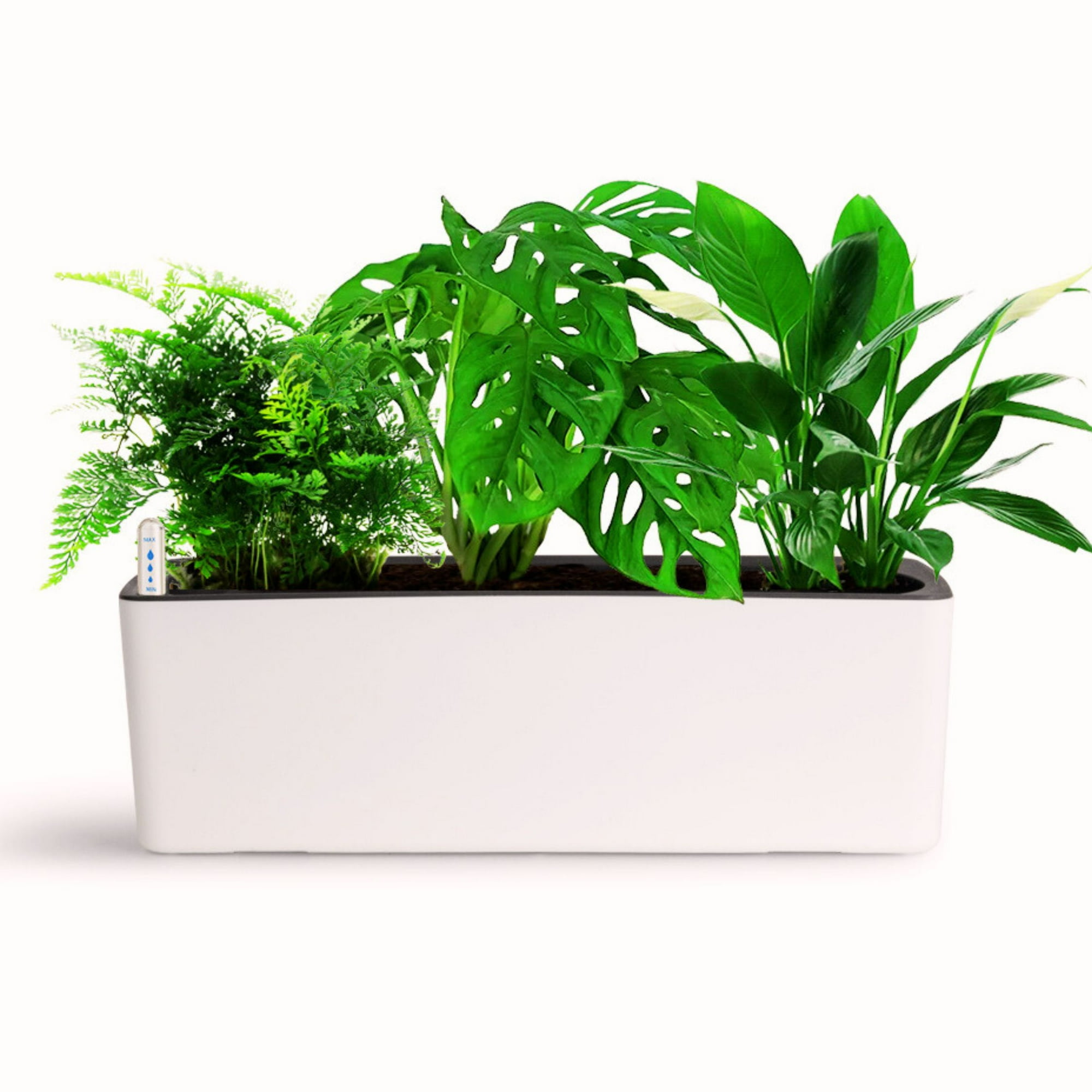 Growled - Macetero Autorregante 50 Cms Planter Plus