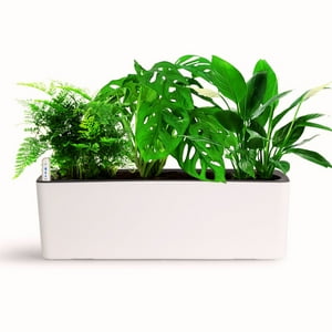 Growled - Macetero Autorregante 50 Cms Planter Plus