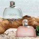 thumbnail image 3 of Perfume Tommy Bahama Seascape Eau De Parfum para mujer, 100 ml, 3 of 3