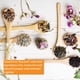 thumbnail image 5 of Té de hierbas Good Earth, dulce y picante, sin cafeína, 18 bolsas x 6, 5 of 8