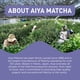 thumbnail image 5 of Mezcla Para Bebida De Matcha Matcha+ Focus™ Sabor Durazno 35 2 G, 5 of 5