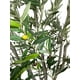 thumbnail image 3 of Árbol Olivo 240cm Artificial, 3 of 3