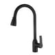 thumbnail image 1 of Grifería FDV Steel Black, 1 of 6