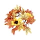 thumbnail image 2 of Corona De Otoño Acción De Gracias Vela Anillos Simulación Centros De Mesa De Halloween Estilo C, 2 of 5