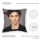 thumbnail image 5 of Timothée Chalamet Fundas de almohada de terciopelo con tema, regalos de funda de almohada, decoración para el hogar, cojín de lanzar, regalo de cumpleaños para fans y parejas.50*50cm., 5 of 6