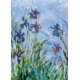 thumbnail image 2 of Rompecabezas Eurographics Iris de Claude Monet 1000 Piezas, 2 of 3