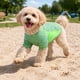 thumbnail image 4 of Playera para perro Pet Life Active Warf-Speed ultraelástica, 4 of 9
