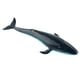 thumbnail image 3 of Ballena Realista Modelo Animal Educación Figura Suave Juguete Para Ni?os Ballena Azul, 3 of 5