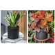 thumbnail image 3 of suxuMhao Bolsas de Cultivo 10 Piezas, 1 Galón (7x5.9in) Bolsas de Cultivo de Tela Negro&Verde, Macetas de Jardín, Bolsas de Cultivo para Plantas, Bolsas de Cultivo para Maceteros de Tela, Macetas de, 3 of 4