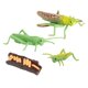 thumbnail image 2 of Figuras De Crecimiento De Saltamontes De Naturaleza Plástica, Juguetes Cognitivos De Aprendizaje Para Ni?os, 2 of 5
