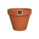 thumbnail image 1 of Set 3 Maceteros Kony Terracota 15 cm + Plato, 1 of 5