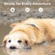 thumbnail image 5 of Localizador Gps Para Perros Tracker 2 Impermeable 3 5 Millas, 5 of 9